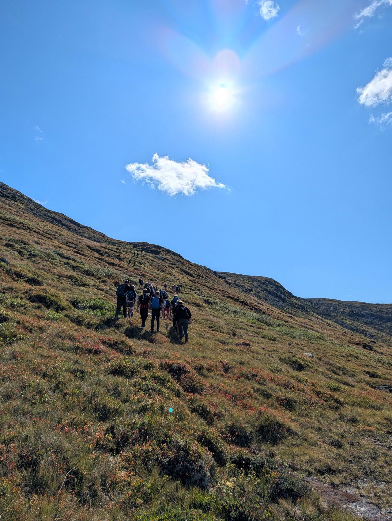 Mjolfjell26_3.jpg
