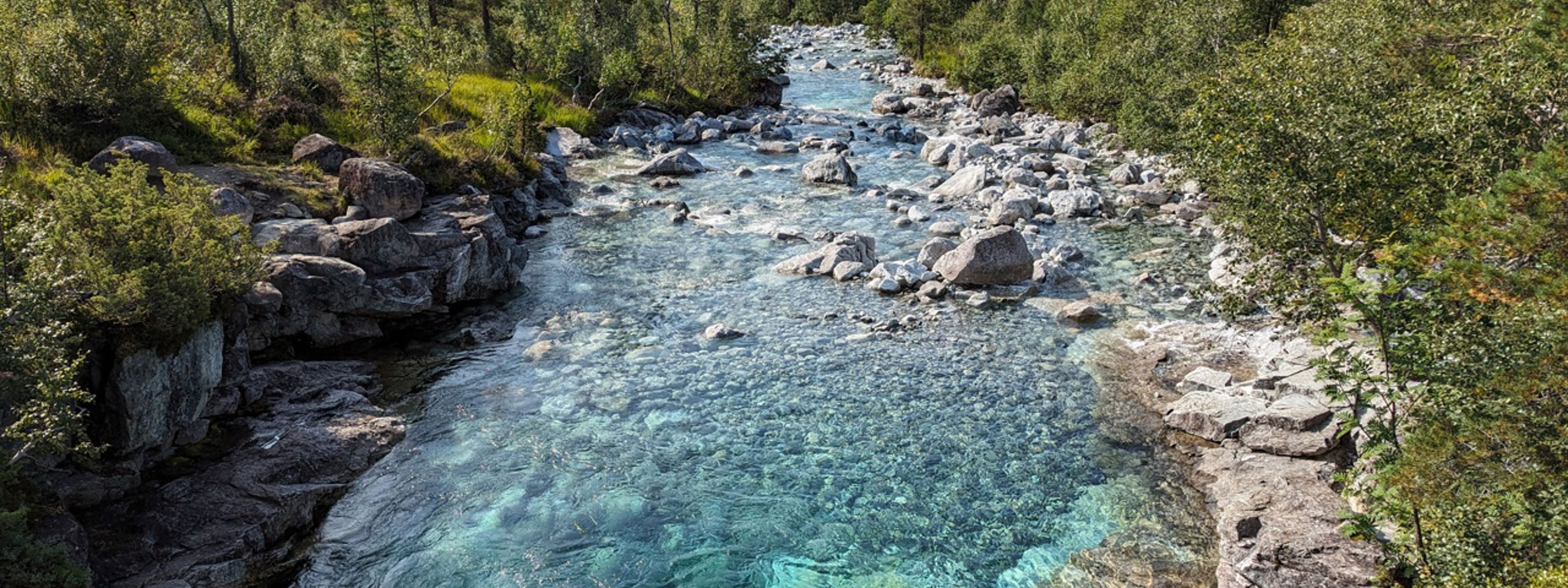 Natur på Mjølfjell
