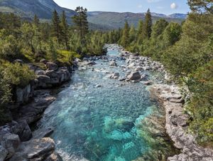 Natur på Mjølfjell