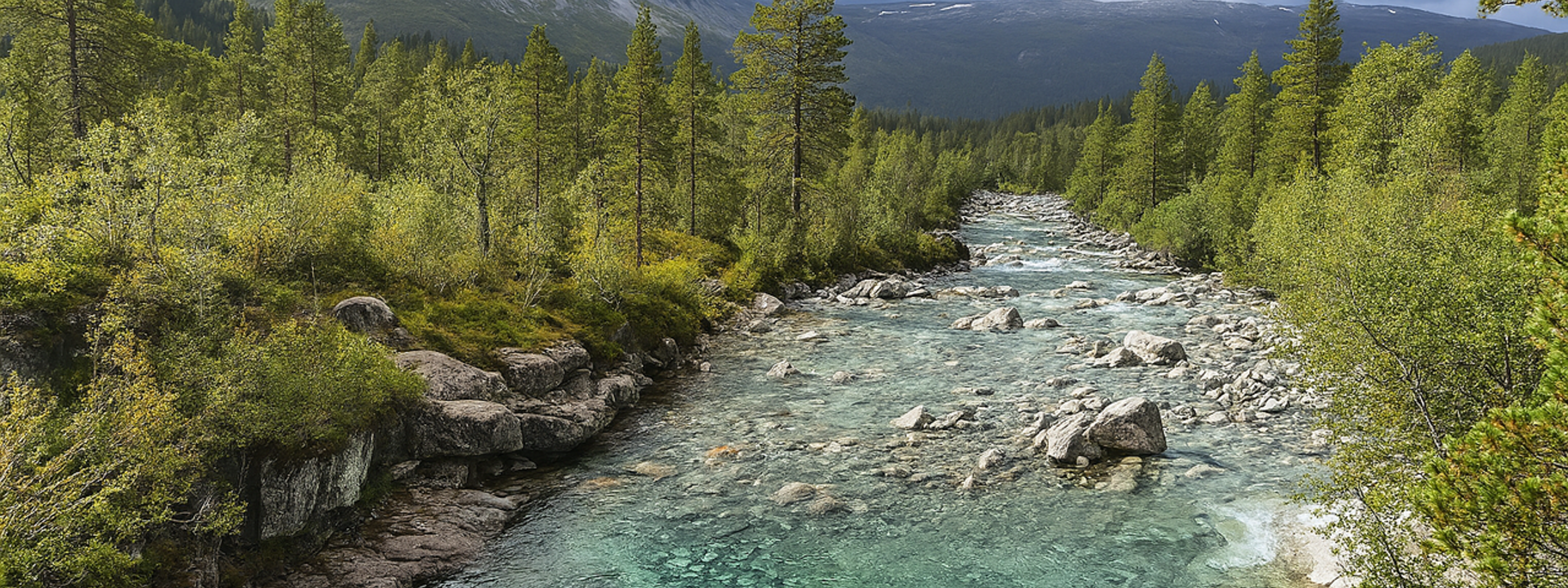Natur på Mjølfjell
